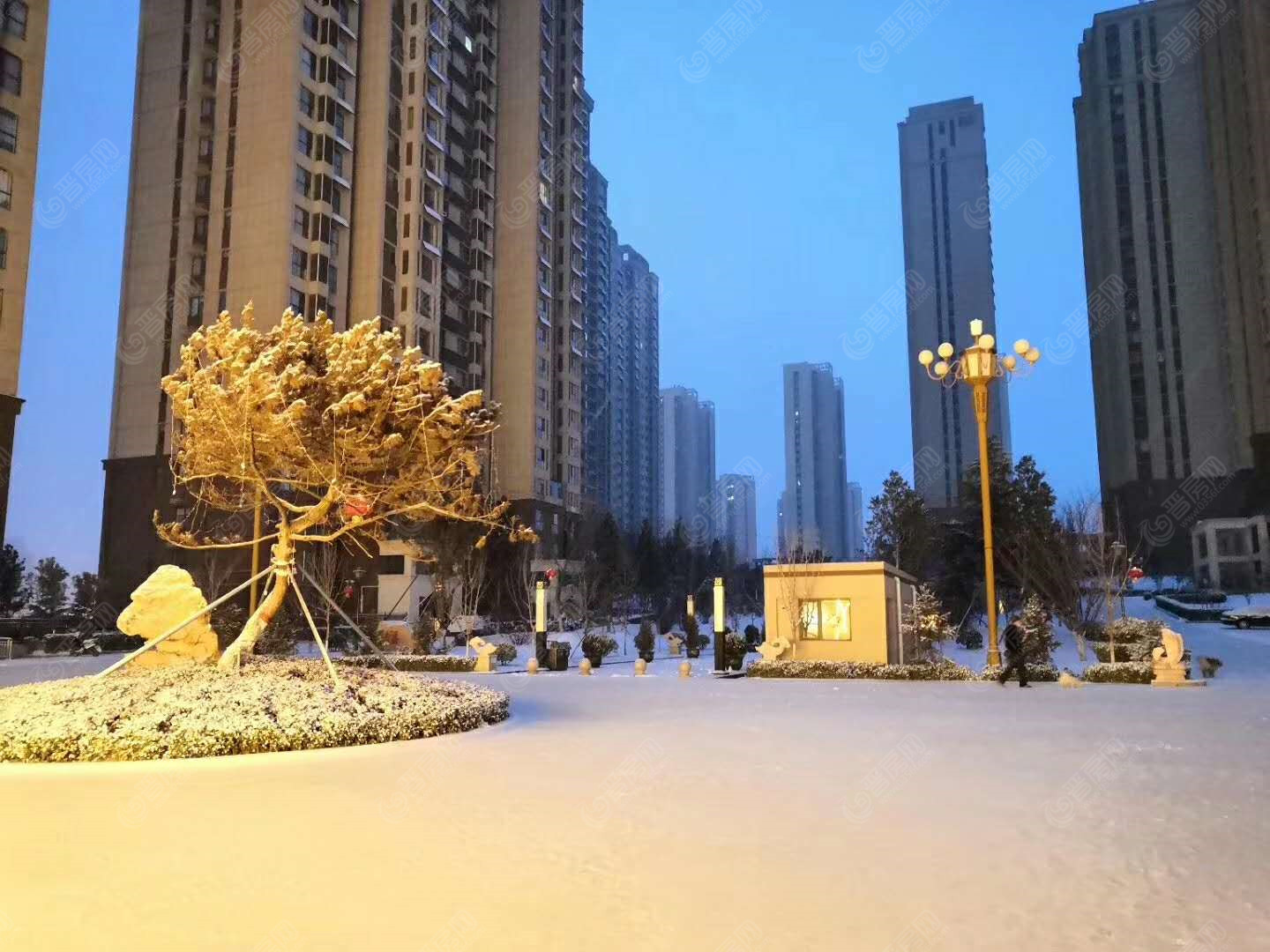 皇城新區(qū)雪中美景5