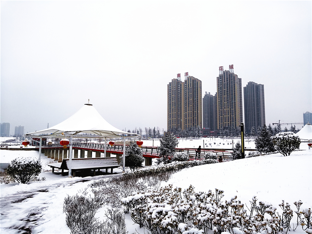 南洋花城雪后實景圖