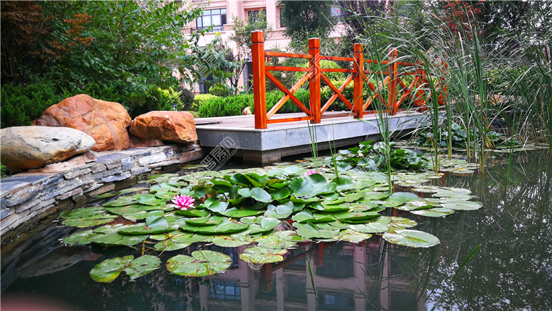 東山郡小區(qū)水景實拍圖