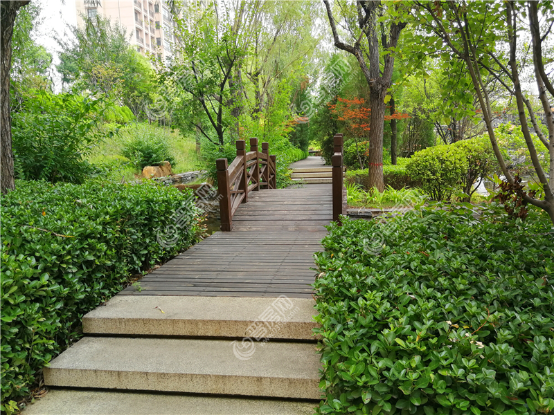 東山郡小區(qū)道路實拍圖