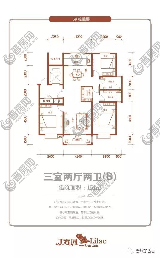 丁香園B戶型