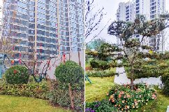 建業(yè)相府