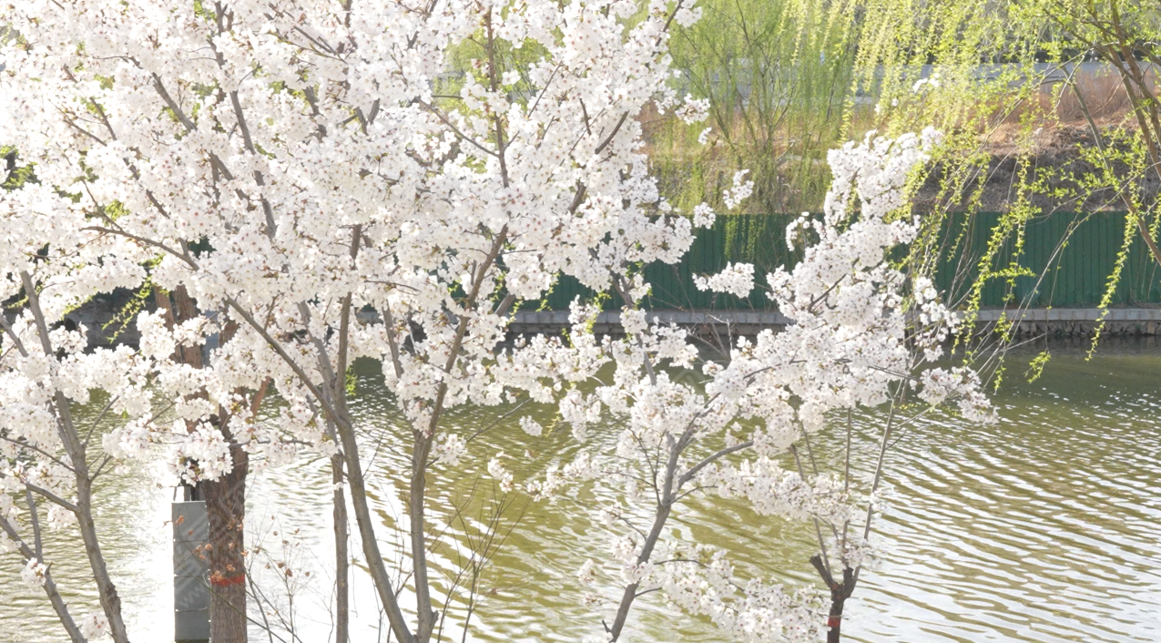 一品華府景觀圖